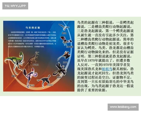揭开古代生物的神秘面纱探索生命起源与演化的奇幻旅程 揭开古代生物的神秘面纱探索生命起源与演化的奇幻旅程